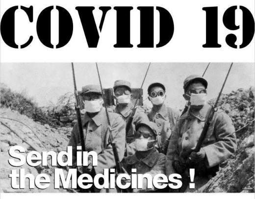Covid19 - Send in the medicines T-Shirt (grey)