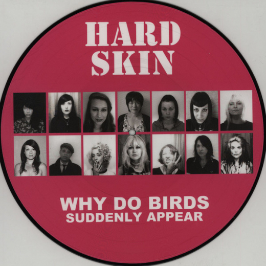 Hard Skin - Why do birds suddenly appear (LP) Picture-LP Einzelstück