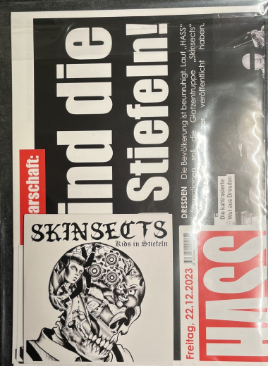 Skinsects - Kids In Stiefeln (CD)