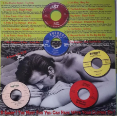 Nasty Rockabilly - Volume 17 (LP) 17 godlike executioners from the 50s