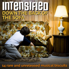 Intensified - Down The Back Of The Sofa (LP) black Vinyl