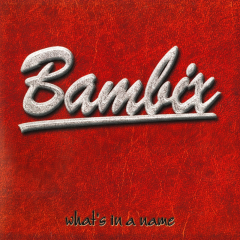 Bambix - Whats In A Name (LP) Gatefolder black Vinyl